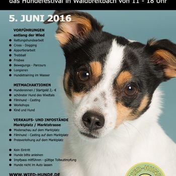 Wied Hunde Festival Waldbreitbach