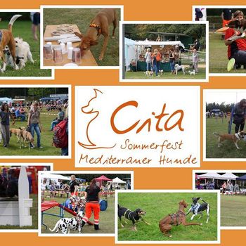 Cita – Sommerfest mediterraner Hunde