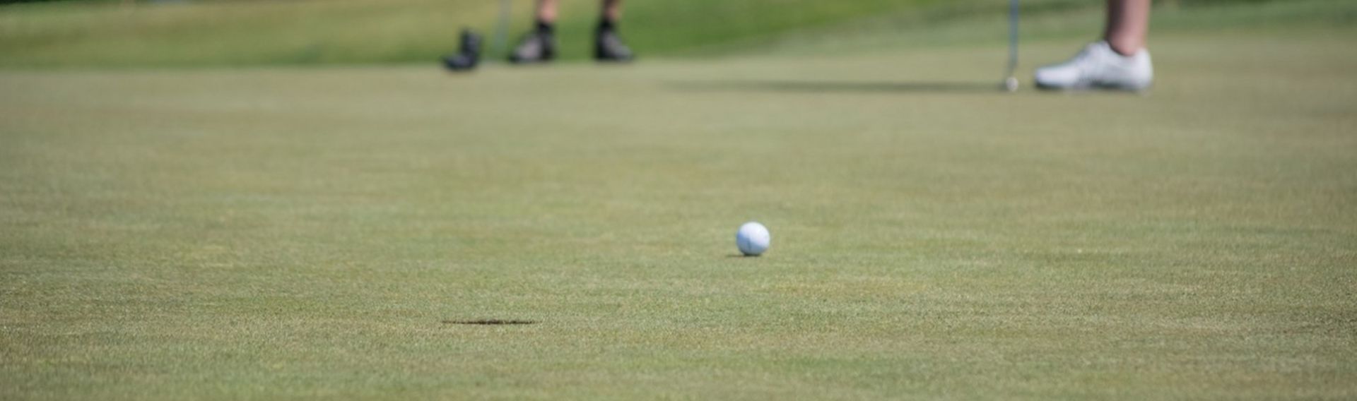 Golfen mit Hund – Golfclub Paderborner Land